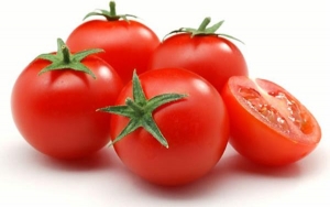 مرجع تشخیص گوجه فرنگی گلخانه ای صادراتی